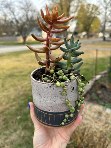 Tall red clay planter