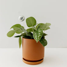 Load image into Gallery viewer, Disco ball plant stick